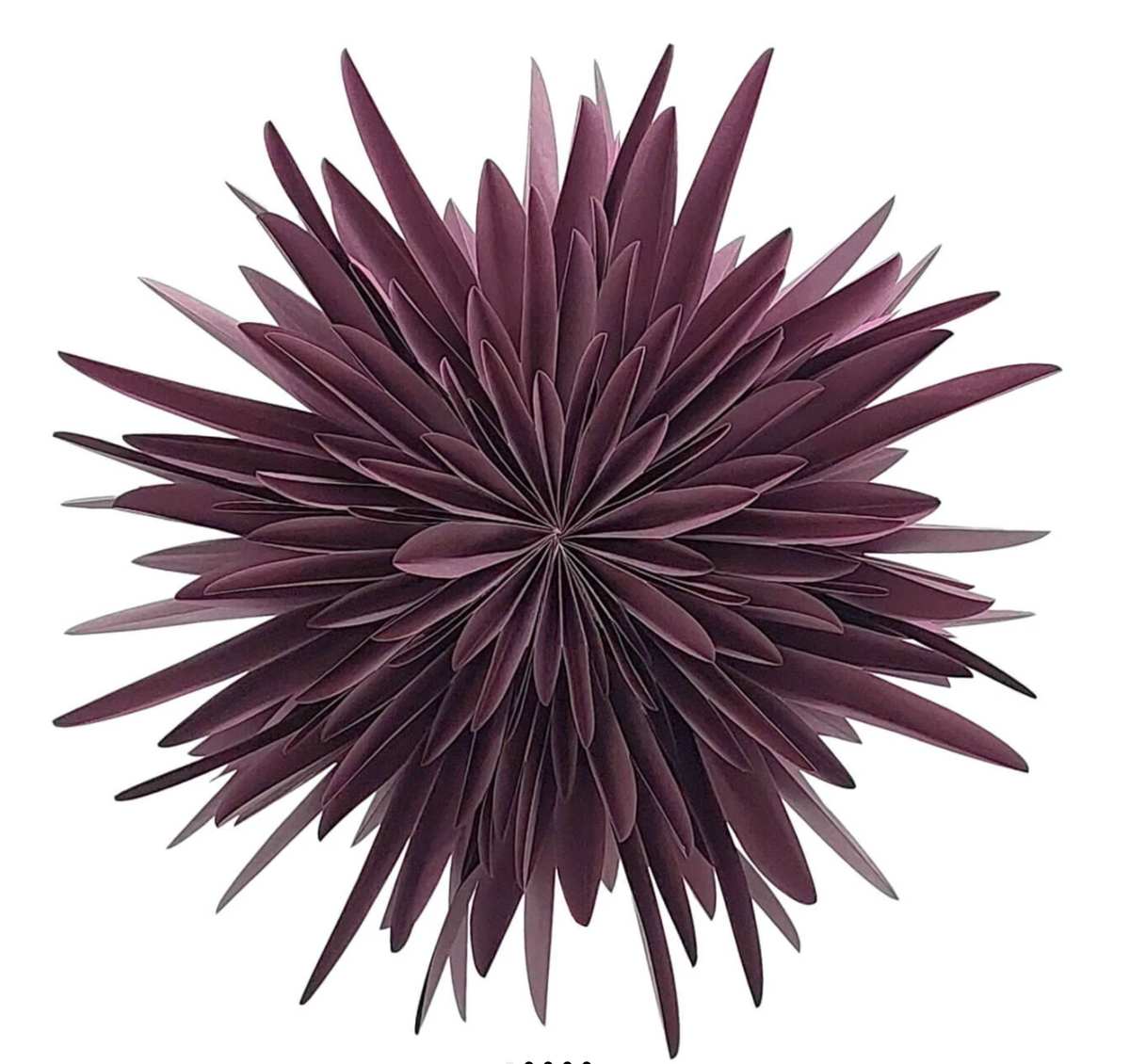 Dalía - burgundy rauð, 40cm