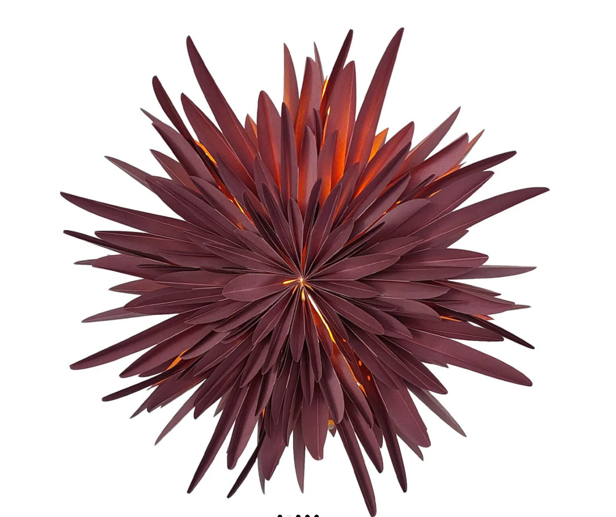 Dalía - burgundy rauð, 40cm