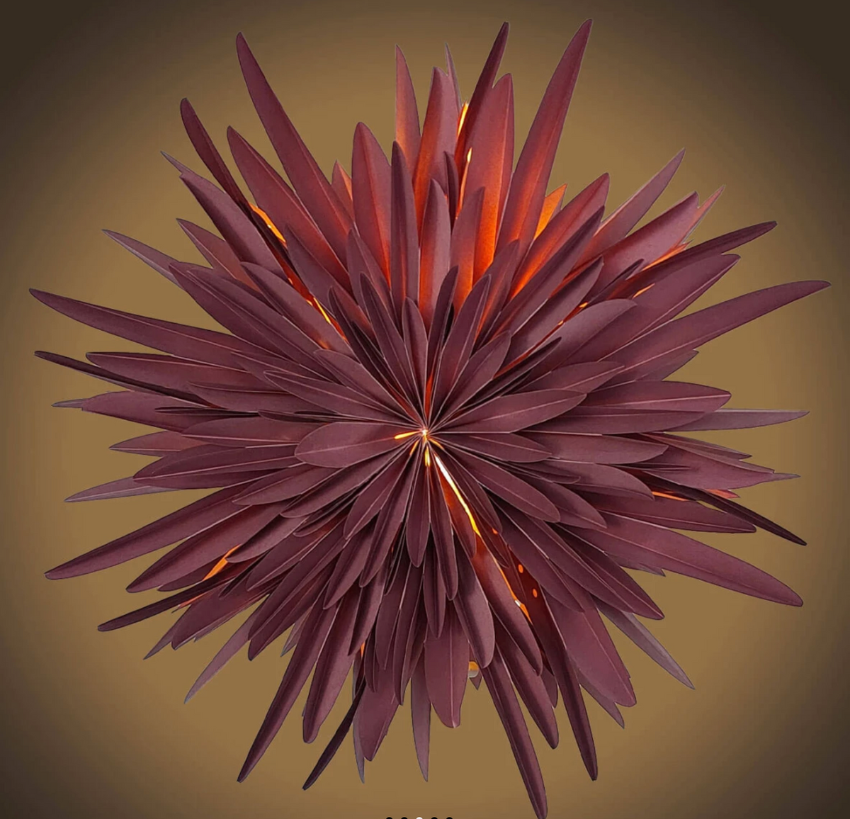 Dalía - burgundy rauð, 40cm