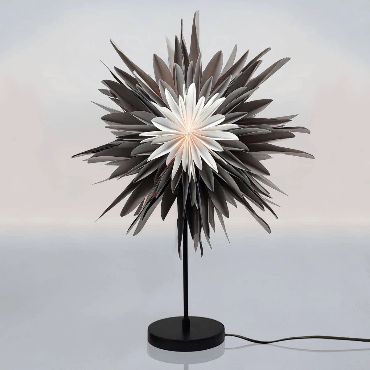 Standur fyrir stjörnur - stór