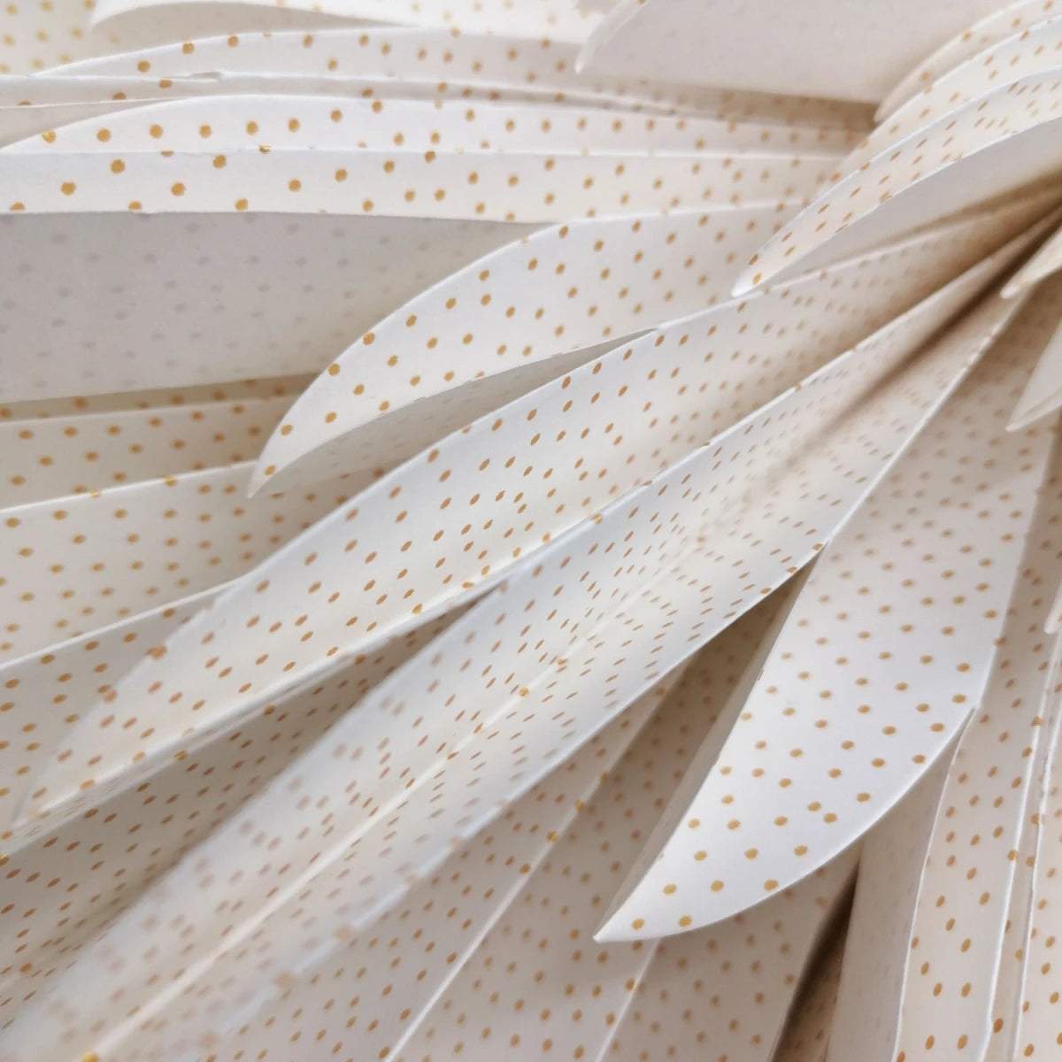 Dalía - hvít með gylltum doppum