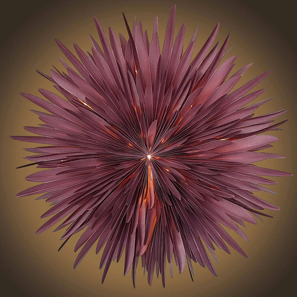 Dalía - burgundy rauð, 40cm