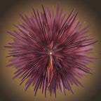 Dalía - burgundy rauð, 40cm