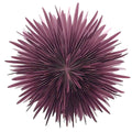Dalía - burgundy rauð, 40cm
