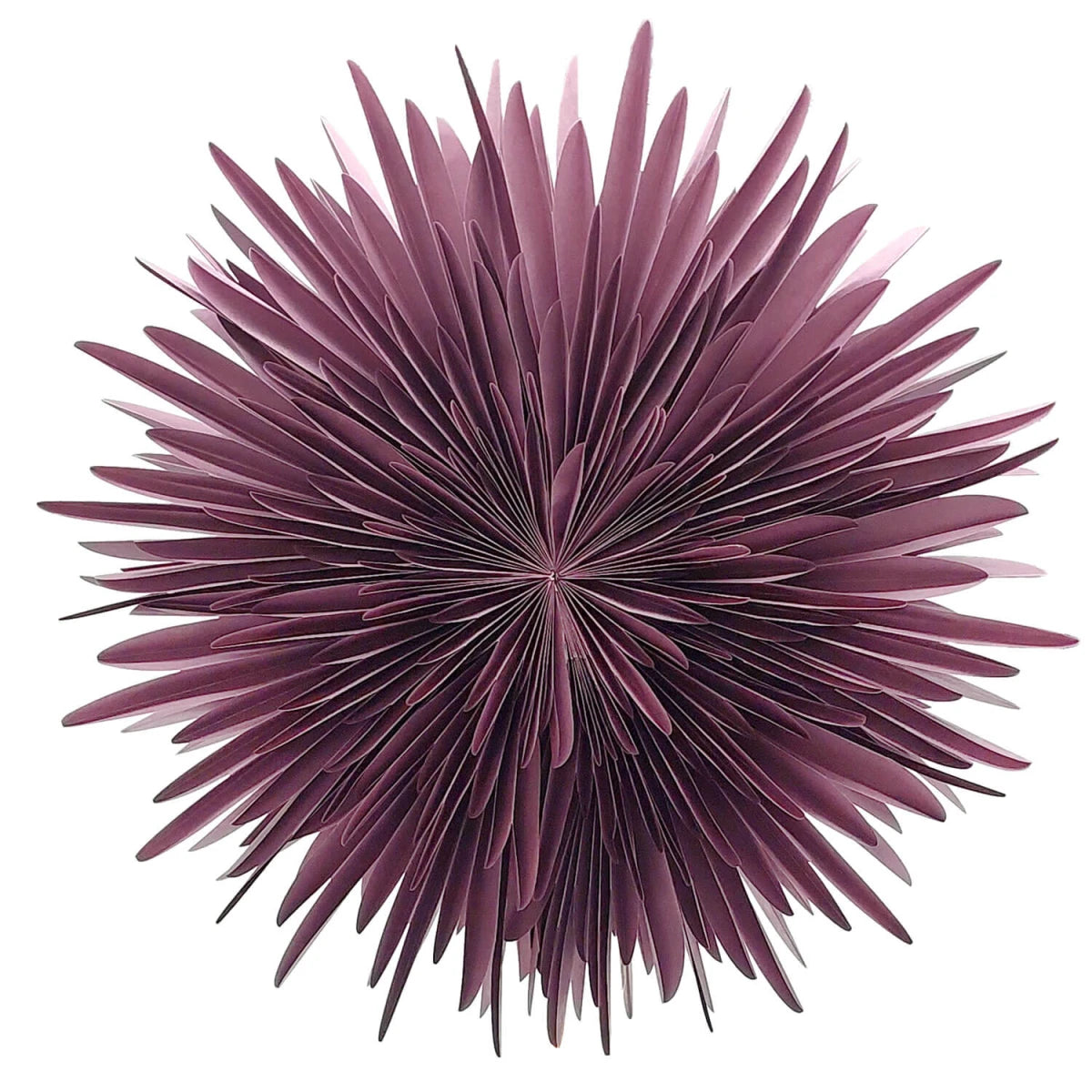 Dalía - burgundy rauð