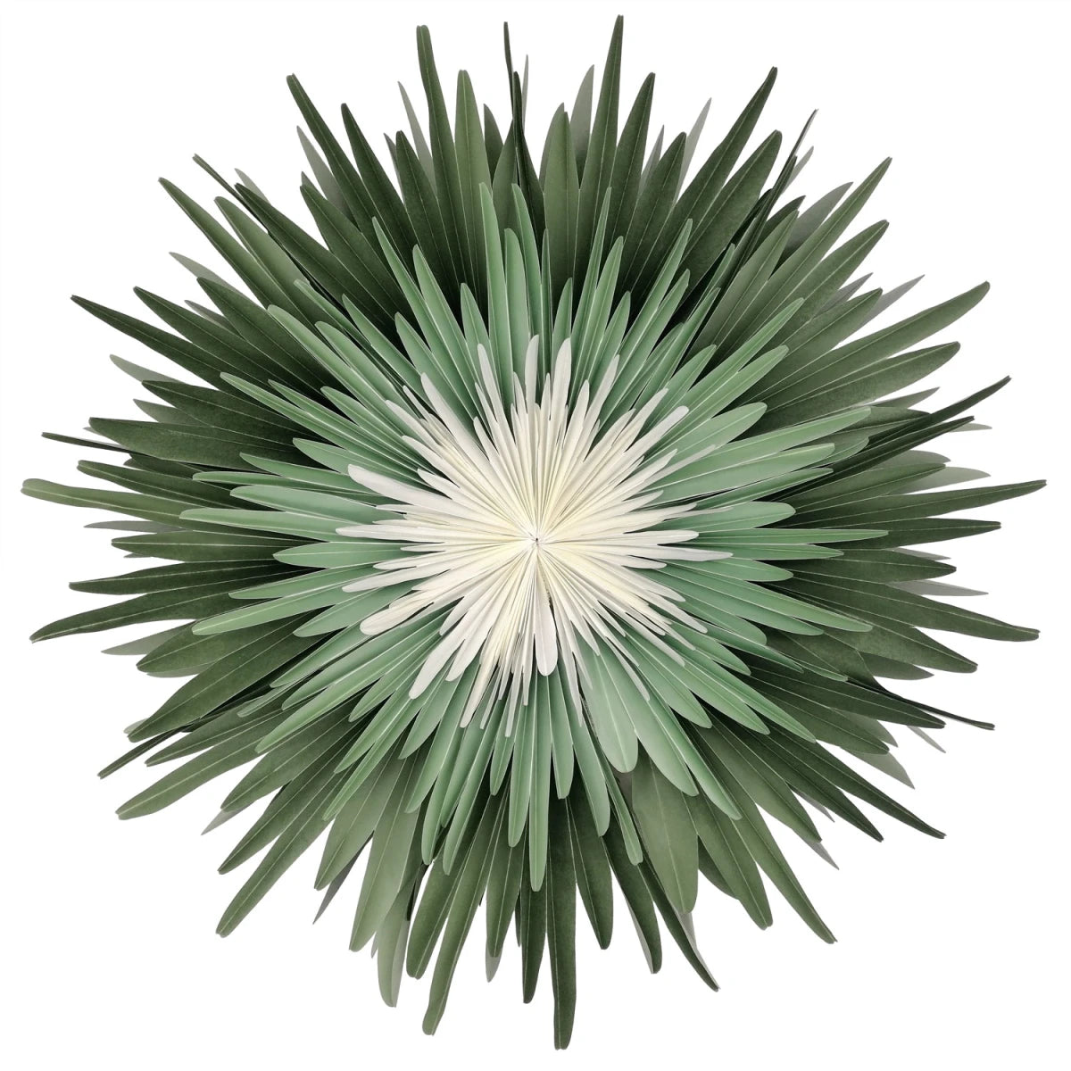 Dalía - minntugræn