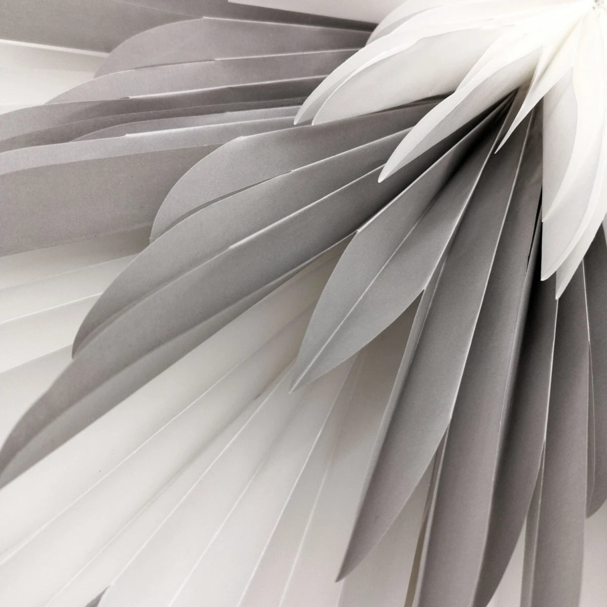 Dalía - hvít og grá