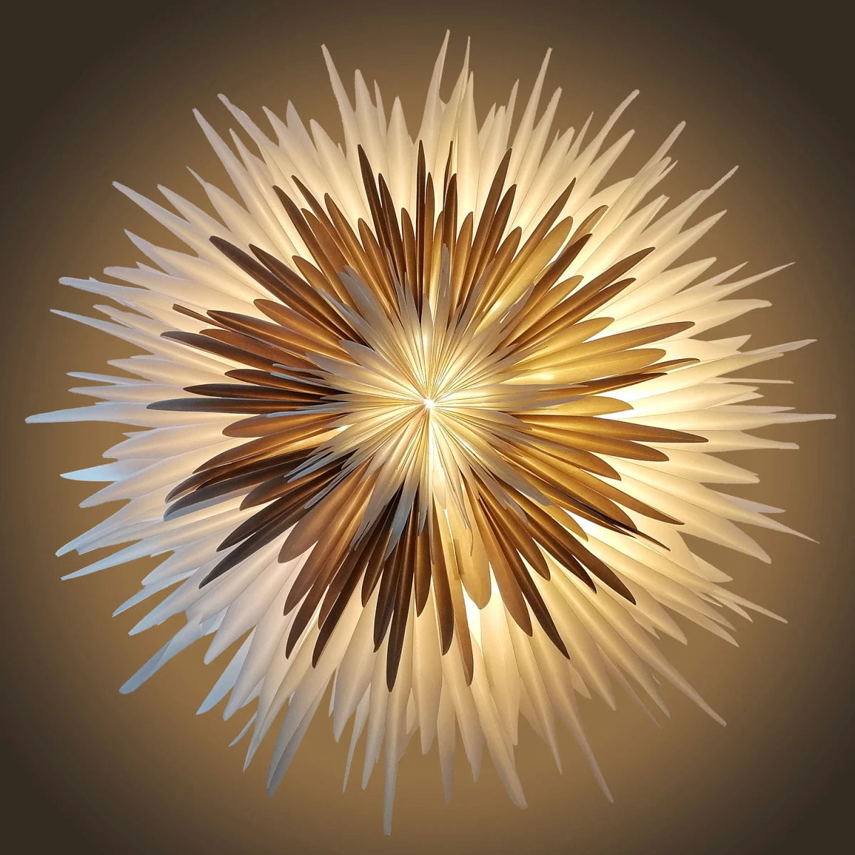 Dalía - hvít og grá